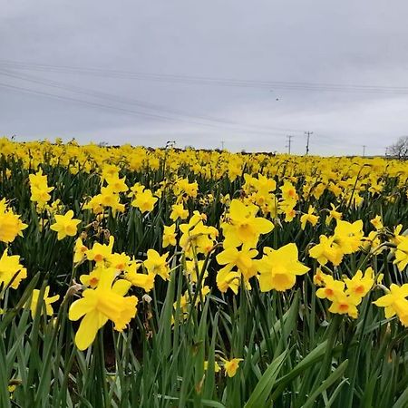 ペンザンス Cosy Country Getaway, 5 Mins From The Seaヴィラ エクステリア 写真